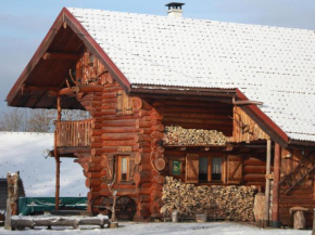 Fuste insolite avec balcon et terrasse dans les Vosges - FR-1-589-241